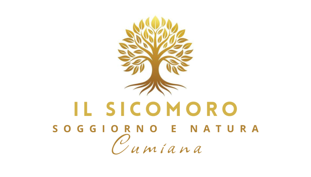 IL SICOMORO